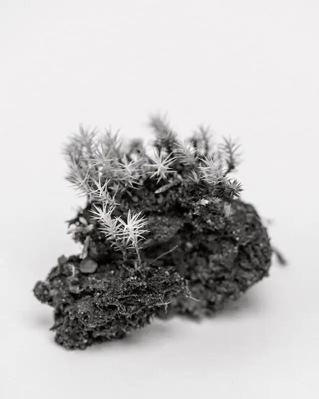 Kehrer Verlag 100 Hectares Of Understanding 8 Kehrer Verlag 100 Hectares Of Understanding – Bild 6