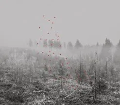 Kehrer Verlag 100 Hectares Of Understanding 12 Kehrer Verlag 100 Hectares Of Understanding -Kinfill Verkäufe 04 kahilaniemi rgb