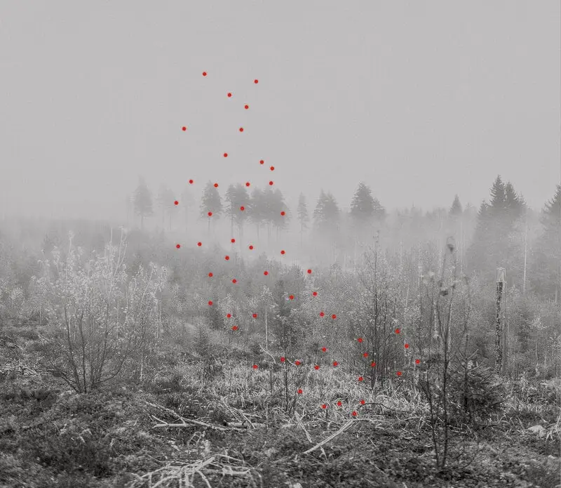 Kehrer Verlag 100 Hectares Of Understanding 7 Kehrer Verlag 100 Hectares Of Understanding – Bild 5