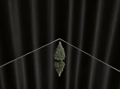 Kehrer Verlag 100 Hectares Of Understanding 11 Kehrer Verlag 100 Hectares Of Understanding -Kinfill Verkäufe 06 kahilaniemi rgb