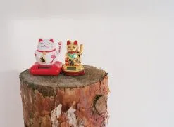 Kehrer Verlag I Was An Apple And I Got Peeled But It Was A Good Thing -Kinfill Verkäufe 1 Kiiski apple rgb