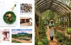 Gestalten Delicious Places: New Food Culture, Restaurants, And Interiors 10 Gestalten Delicious Places: New Food Culture, Restaurants, And Interiors -Kinfill Verkäufe 22Gestalten Delicious Places 19 TH