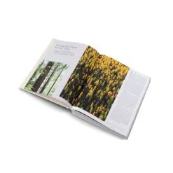 Gestalten Out Of The Woods: Architecture And Interiors Built From Wood -Kinfill Verkäufe 34Gestalten AK