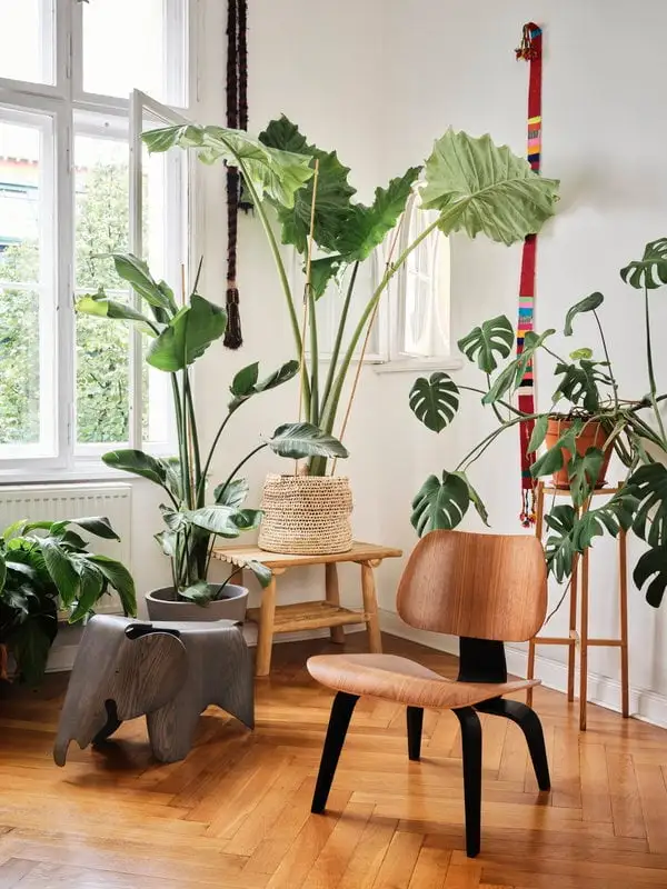 Vitra Eames Elephant, Sperrholz, Grau 8 Vitra Eames Elephant, Sperrholz, Grau – Bild 6