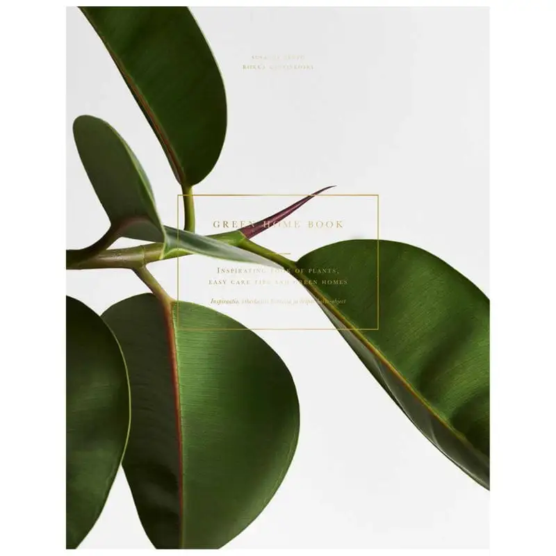 Cozy Publishing Green Home Book 3 Cozy Publishing Green Home Book