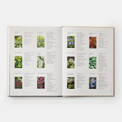 Phaidon The Seasonal Gardener: Creative Planting Combinations -Kinfill Verkäufe 81rnNRGbbTL
