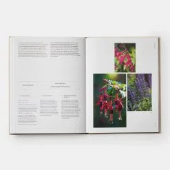 Phaidon The Seasonal Gardener: Creative Planting Combinations -Kinfill Verkäufe 81xbLAaz7SL