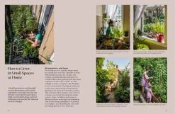 Gestalten Stadt Gärten: Die Wachsende Begeisterung Für Urban Farming -Kinfill Verkäufe 91Gestalten AK