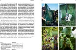 Phaidon The Garden Chef -Kinfill Verkäufe 92Phaidon Garden Chef 19 TH