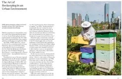 Gestalten Stadt Gärten: Die Wachsende Begeisterung Für Urban Farming -Kinfill Verkäufe 93Gestalten AK