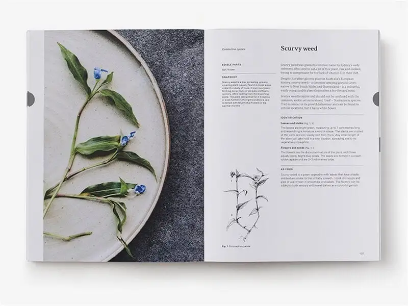 Thames & Hudson Eat Weeds 8 Thames & Hudson Eat Weeds – Bild 6