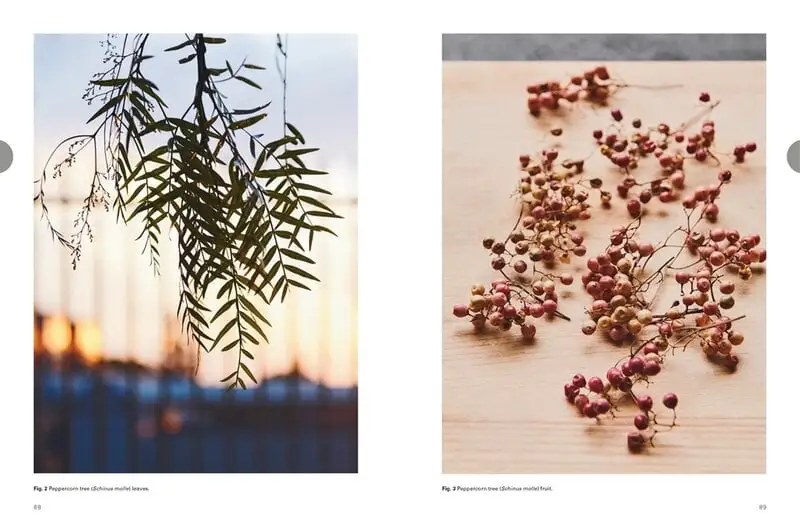 Thames & Hudson Eat Weeds 4 Thames & Hudson Eat Weeds – Bild 2