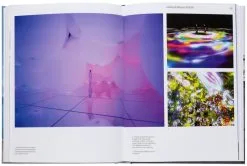 Gestalten Art Escapes: Hidden Art Experiences Outside The Museums -Kinfill Verkäufe 9783967040524 IN04