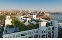 Gestalten Stadt Gärten: Die Wachsende Begeisterung Für Urban Farming -Kinfill Verkäufe 99Gestalten AK