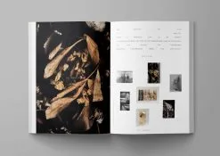 Ark Journal Vol. VII, Cover 1 -Kinfill Verkäufe ARK07 spreads rusak 05 1748x1240 2