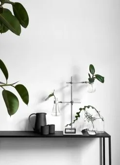 Cozy Publishing Green Home Book 13 Cozy Publishing Green Home Book -Kinfill Verkäufe Ficus elastica