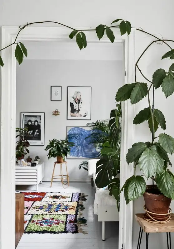 Cozy Publishing Green Home Book 7 Cozy Publishing Green Home Book – Bild 5