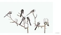 Hatje Cantz Sanna Kannisto: Observing Eye -Kinfill Verkäufe HC9783775747912 Sanna Kannisto Observing Eye Hatje Cantz 1 ee