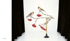 Hatje Cantz Sanna Kannisto: Observing Eye -Kinfill Verkäufe HC9783775747912 Sanna Kannisto Observing Eye Hatje Cantz 4 ee