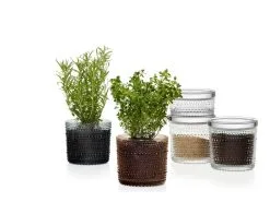 Iittala Kastehelmi Vorratsglas, 116 X 57 Mm, Transparent -Kinfill Verkäufe Kastehelmijargreydesertcleargroup 2 1