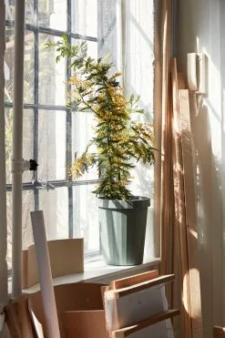 Hay Shade Abfalleimer, Salbeigrün 11 Hay Shade Abfalleimer, Salbeigrün -Kinfill Verkäufe Shade Bin dusty green