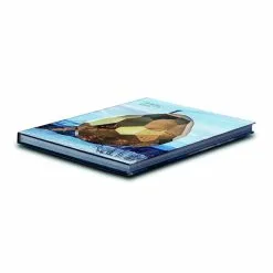 Art & Theory Publishing Bigert & Bergström: Solar Egg -Kinfill Verkäufe bigert bergstrom riksbyggen solar egg 1 1512x