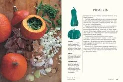 Gestalten Junges Gemüse -Kinfill Verkäufe pp156 157 EatYourGreens gestalten2020